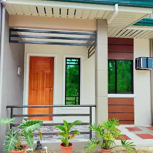 29 Palm's Panglao